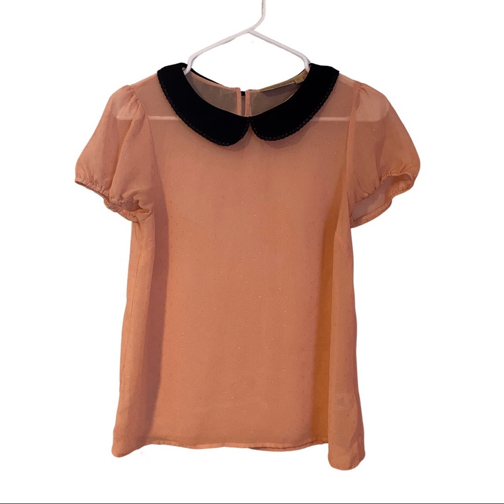 Pink sheer blouse with black velvet collar